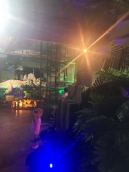 -恐龙探索乐园(磁器口店)