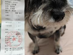 -关爱动物医院·心脏·中兽医·异宠(金牛路分院)