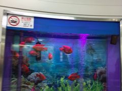 -雅悦齿科(顾村公园店)