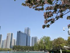 -天鹅湖体育公园