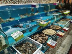 水产区-港畔赶海蒸汽海鲜烧烤自助(仙螺岛店)
