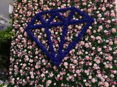 -泉乐坊步行街(烟酒特产平价超市店)