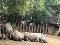 -长鹿旅游休博园