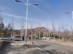 -大青山野生动物园