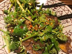香菜拌牛肉-高烤场烧烤餐厅(文华里店)