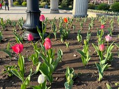 -长春公园(普阳街道)