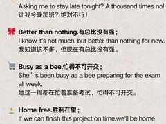 -菠萝国际教育专注Alevel·IGCSE·IB·AP·托福雅思培训辅导(静安校区)