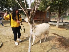 -武汉紫薇都市田园