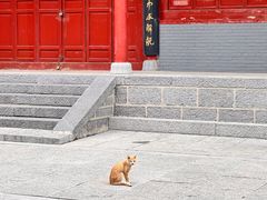 -洛阳白马寺