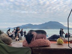 -城墙外BAR
