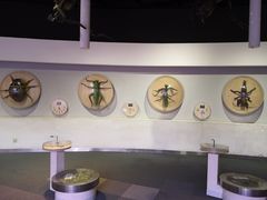 -陕西自然博物馆