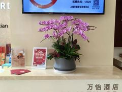 -上海圣淘沙万怡酒店