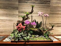 -白天鹅宾馆·流浮阁咖啡厅