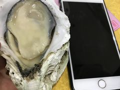 -蚝专家(北滘店)