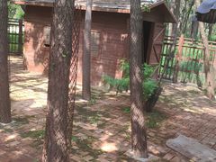 -南戴河国际娱乐中心