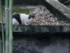-晓港公园