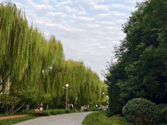 -南翠屏公园