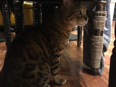 -小时光咖啡馆(北锣鼓巷店)