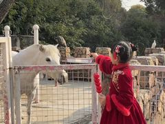 -J Create城市露营咖啡·简餐·宠物(上海动物园店)