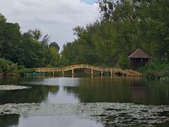 -微山湖红荷湿地景区