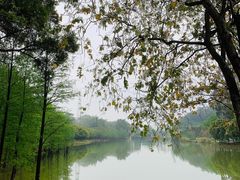 -中国科学院华南植物园