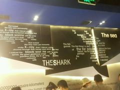 -ZARA(北美新天地时尚中心店)