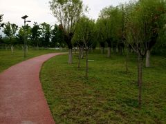 -洨河生态公园