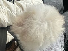 -帕帕拉兹宠物(亚洲旗舰店)