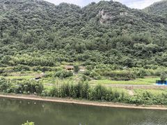 -芦茨金富饭庄·25年老字号·专做稻草鸡