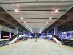 -向民炒鸡老店(火车站店)