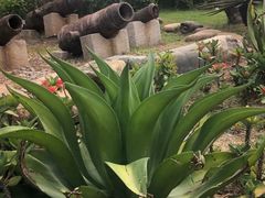 -胡里山炮台
