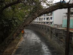 -房湖公园