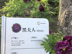 -太阳宫公园