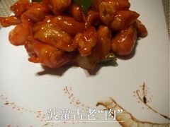 -素虎小呆鸟(西二旗店)
