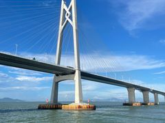 -招商蛇口邮轮母港(观光客运)