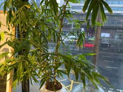 -观塘港茶餐厅(八一大道店)