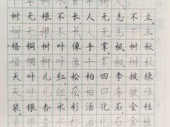 -赵汝飞练字硬笔书法(博泰国际校区)