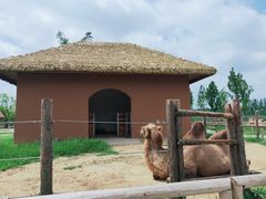 -祥源·阜阳生态乐园