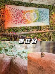 -欢乐舟·舟舟玩乐园