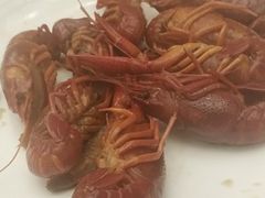 -合肥皇冠假日酒店·菲亚斯特自助餐厅(黄山路店)