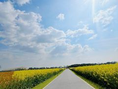 -中国天府农业博览园