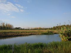 -滆湖低碳生态公园