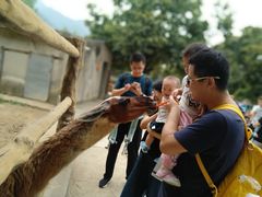 -西安秦岭野生动物园