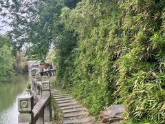 -八大山人梅湖景区