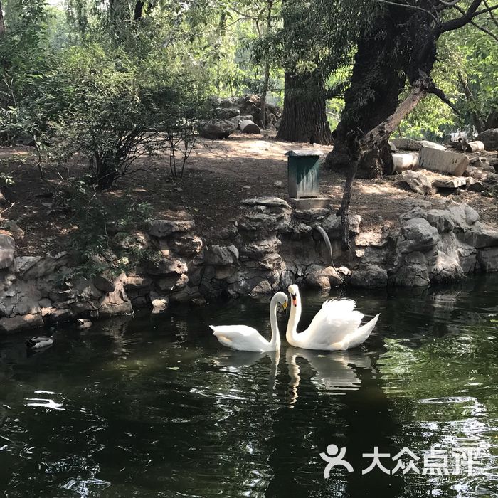 北京動物園