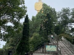 -大金鹰园