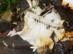 -五谷芳乳鸽王(海景店)