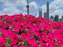 -北外滩滨江绿地