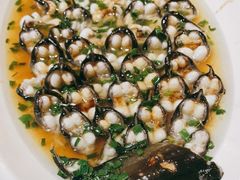 -呼吸森林·生态农庄农家乐私房菜