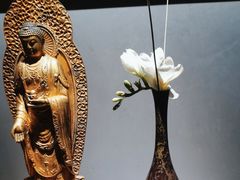 -觀芷隐轩